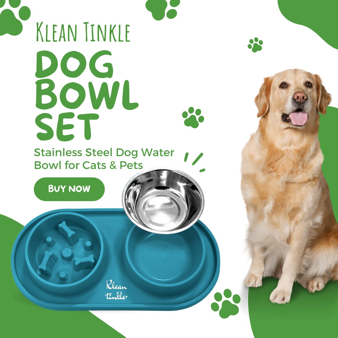 Dog bowl and mat set best sale