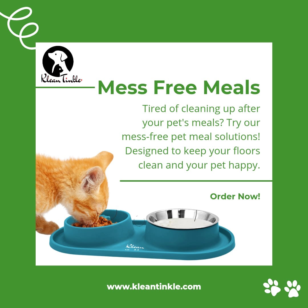 Slow Feeding Pet Bowl Set - Removable Stainless Steel Bowl and Non-Skid Silicone Mat in Stunning Dirty Blue for Cats & Dogs