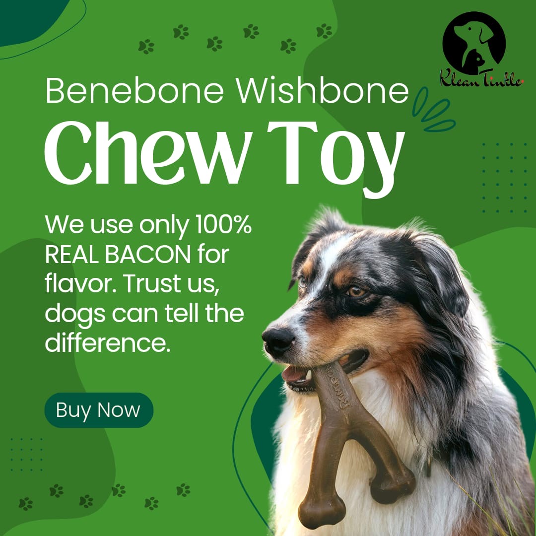 Benebone Wishbone Dog Chew Toy for Aggressive Chewers, High Quality Nylon with Real Bacon Flavor, Medium Sized