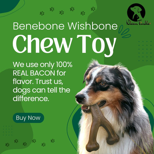 Benebone Wishbone Dog Chew Toy for Aggressive Chewers, High Quality Nylon with Real Bacon Flavor, Medium Sized