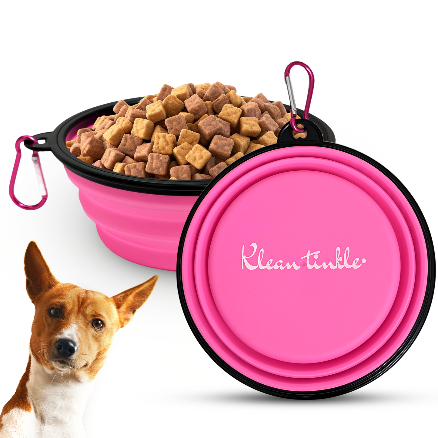 Chic Portable Travel Collapsible Foldable Pet Dog Bowl for Food & Water Dish Different Colors To Choose From