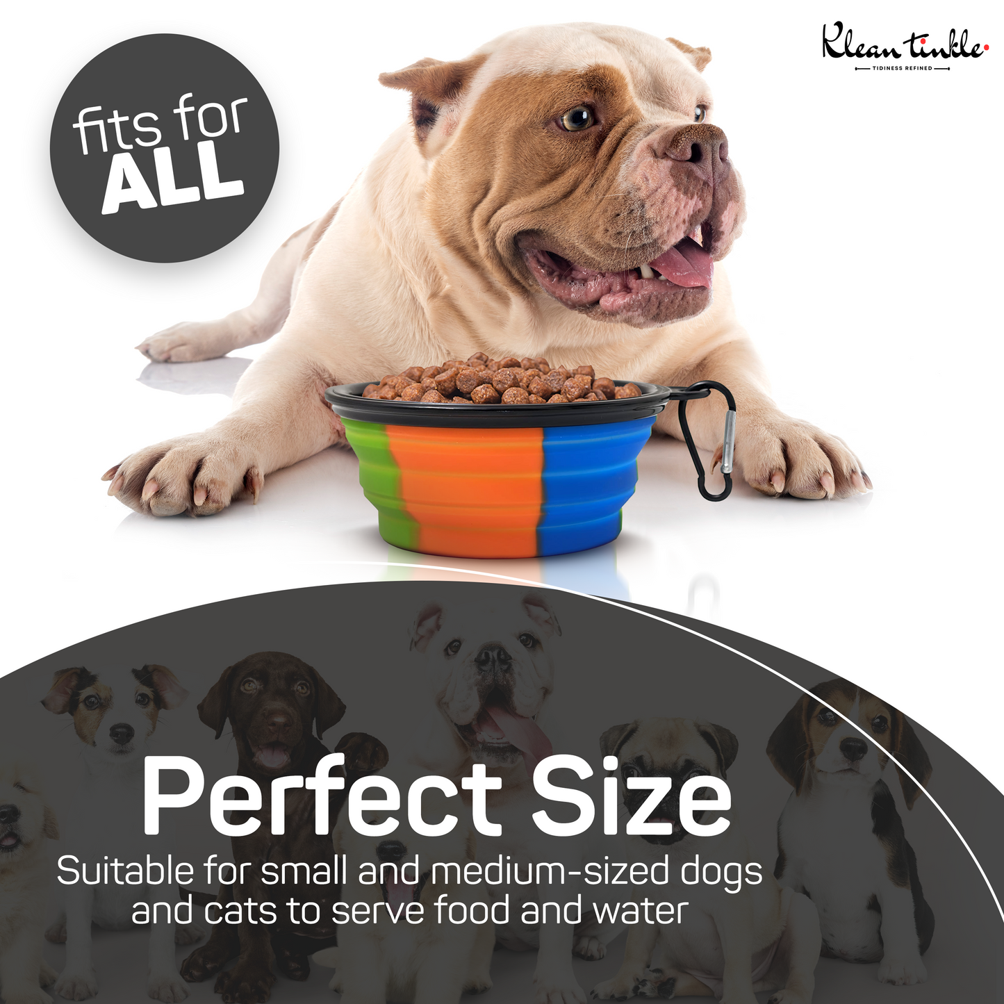 Black Camo Portable Travel Collapsible Foldable Pet Dog Bowl for Food & Water Dish