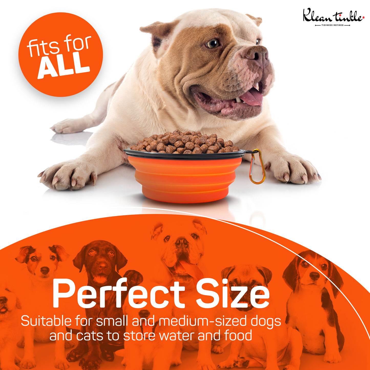 Chic Portable Travel Collapsible Foldable Pet Dog Bowl for Food & Water Dish Different Colors To Choose From