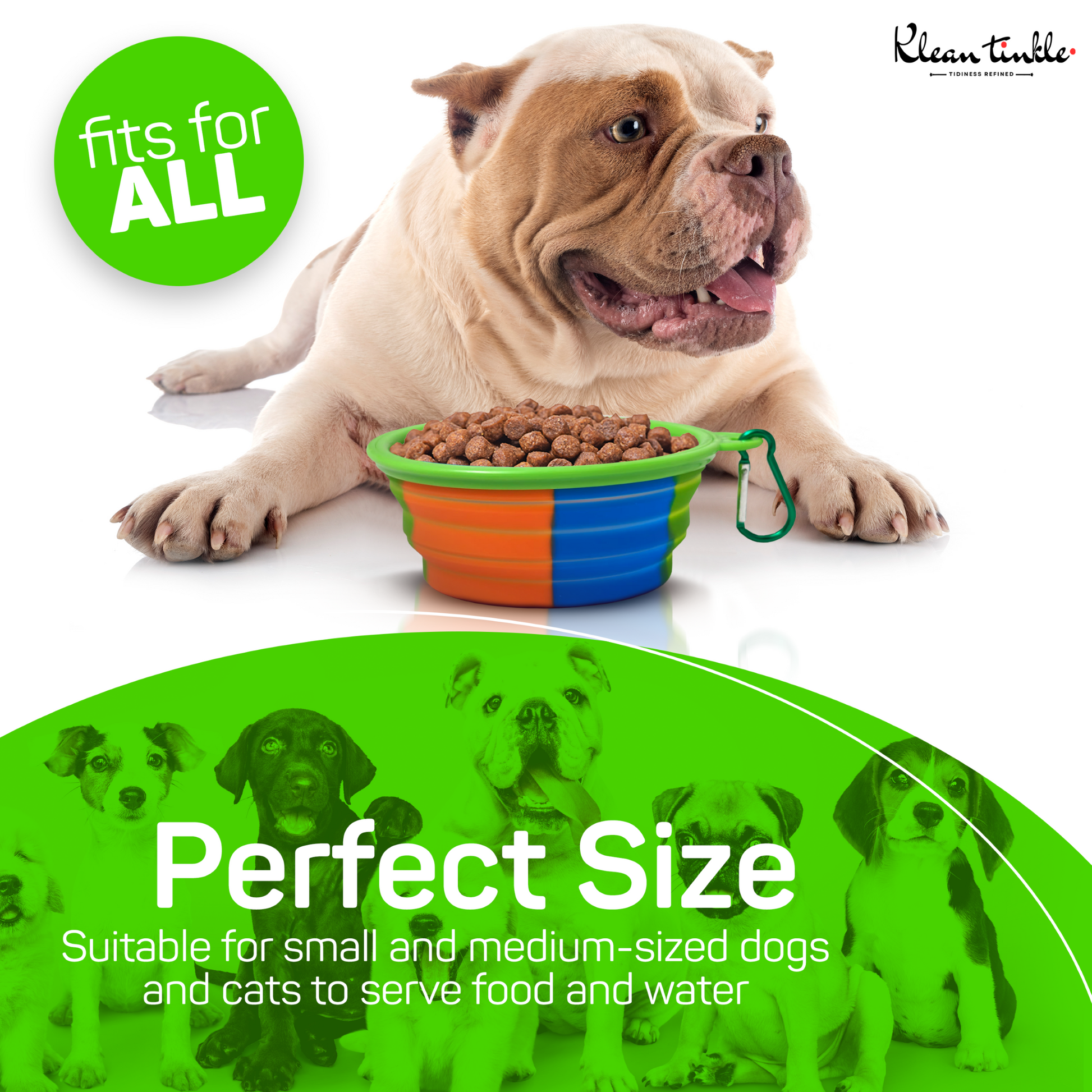 新品NEIGHBORHOOD FOLDABLE DOG BOWL 新品NEIGHBORHOOD FOLDABLE DOG BOWL