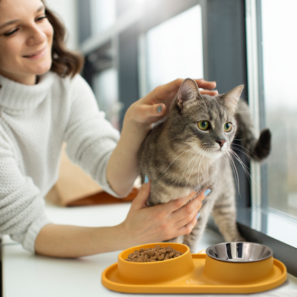 Slow Feeding Pet Bowl Set - Removable Stainless Steel Bowl and Non-Skid Silicone Mat in Stunning Sunny Yellow for Cats & Dogs