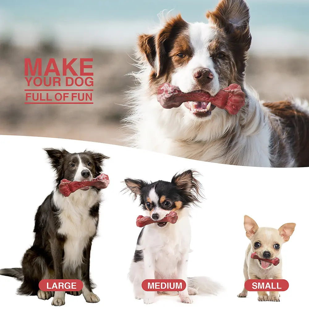 3 Sizes Available: High-Quality Natural Rubber Dog Chew Toys for Aggressive Chewers