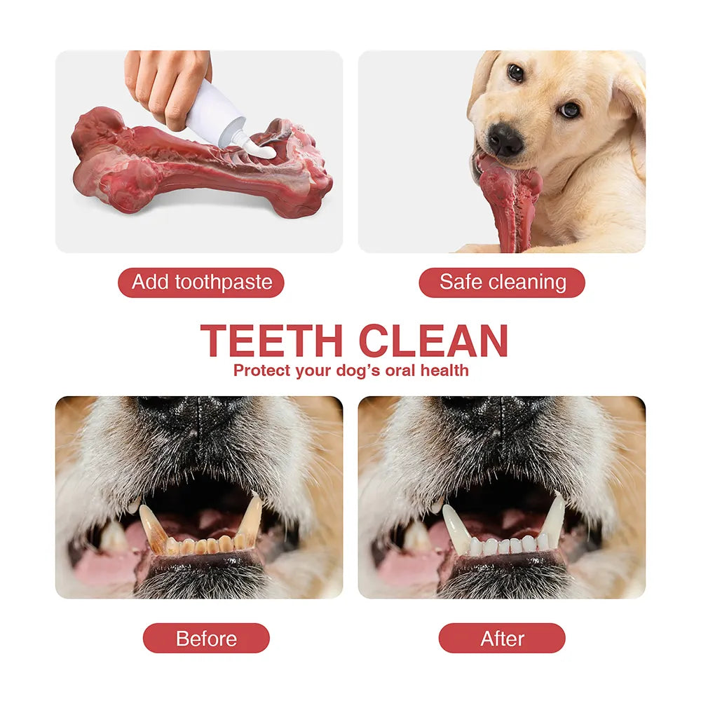 3 Sizes Available: High-Quality Natural Rubber Dog Chew Toys for Aggressive Chewers