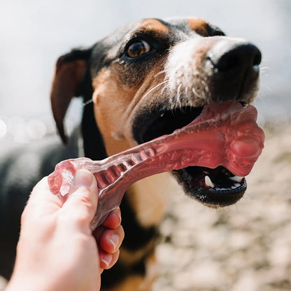 3 Sizes Available: High-Quality Natural Rubber Dog Chew Toys for Aggressive Chewers