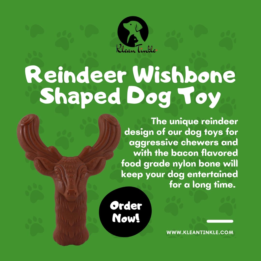 Reindeer Wishbone Shaped Durable Dog Chew Toy for Aggressive Chewers, High Quality Nylon with Real Bacon Flavor