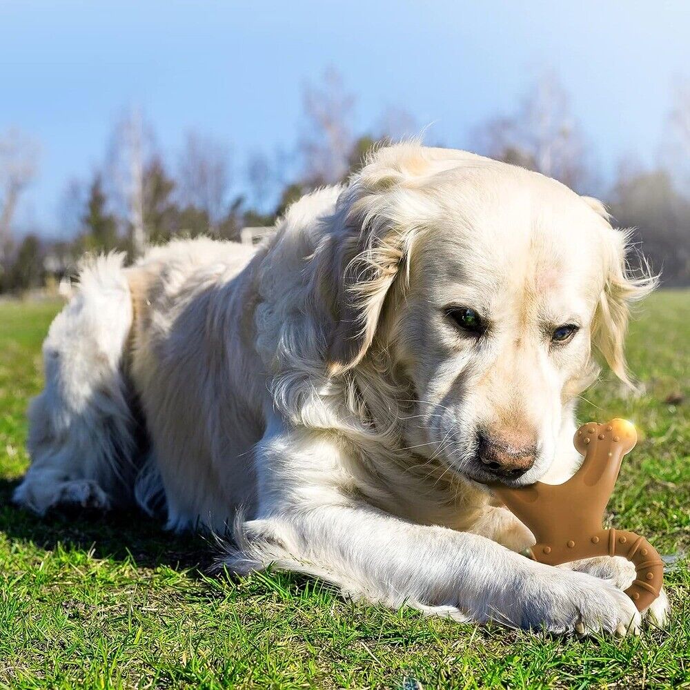 Handled Shaped Wishbone Dog Toy for Aggressive Chewers Long Lasting Chew Toy