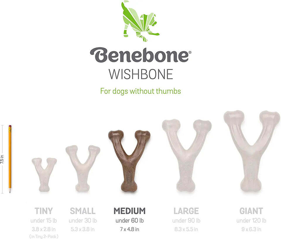 Benebone Wishbone Dog Chew Toy for Aggressive Chewers, High Quality Nylon with Real Bacon Flavor, Medium Sized